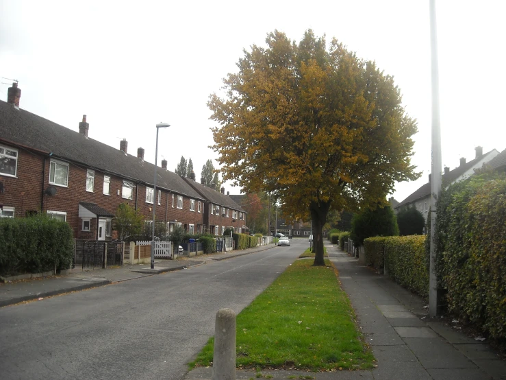 the sidewalk is lined with lush green grass