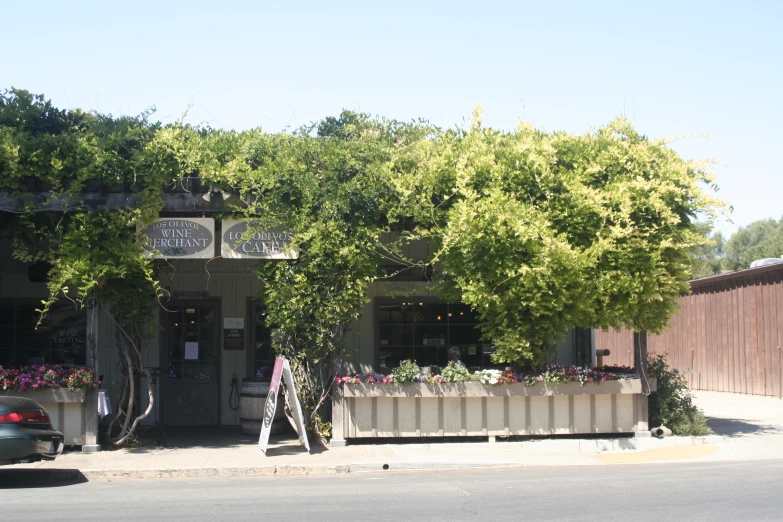 a green building with plants growing outside