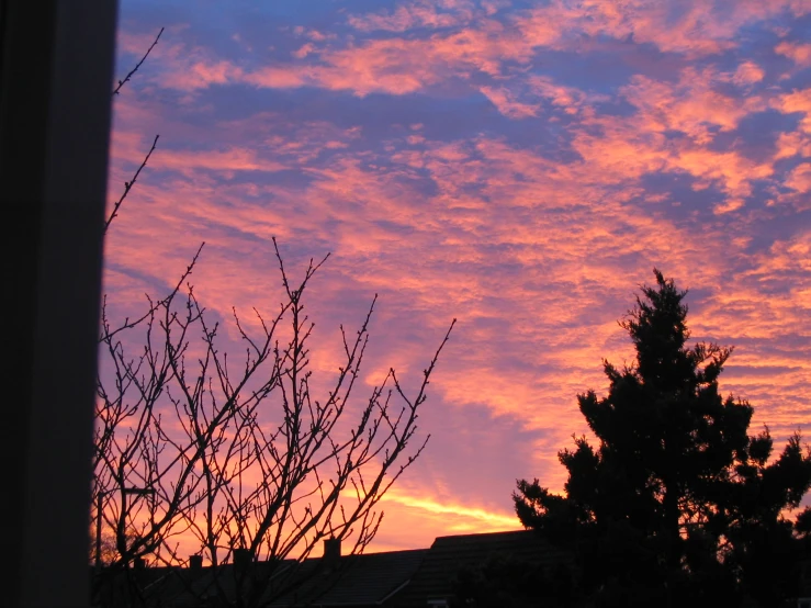 some pink and yellow clouds over some trees