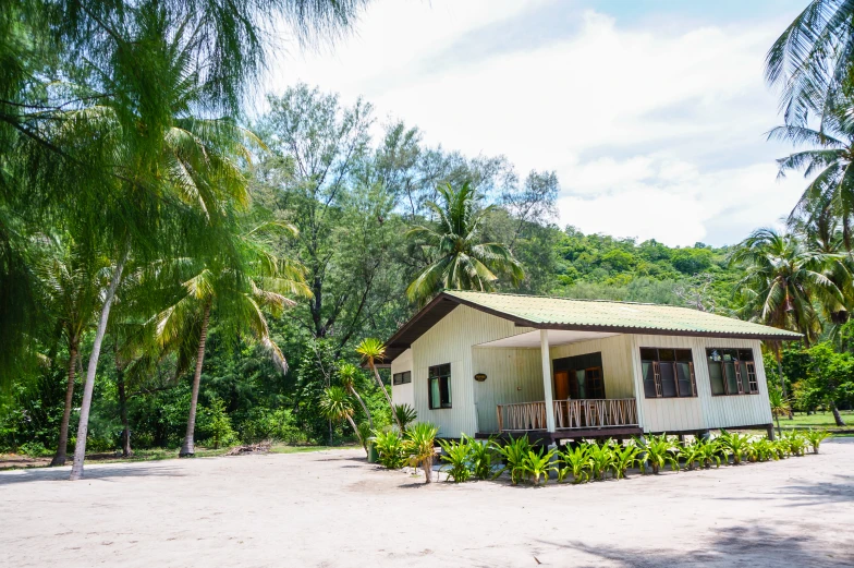 the house is located between two palm trees