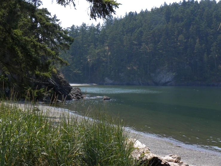 a bench that is sitting near a body of water