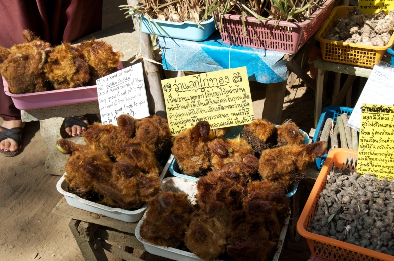 the brown teddy bears are for sale at this outdoor market