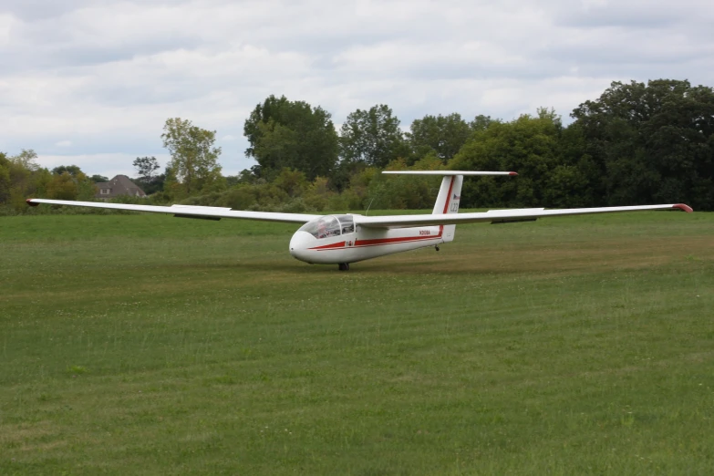 small airplane landing on the grassy area of the park