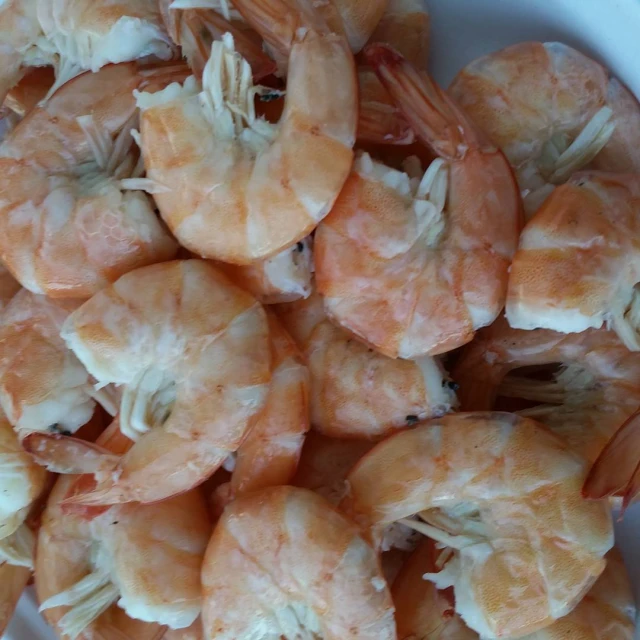 cooked shrimp in a white bowl with a blue background