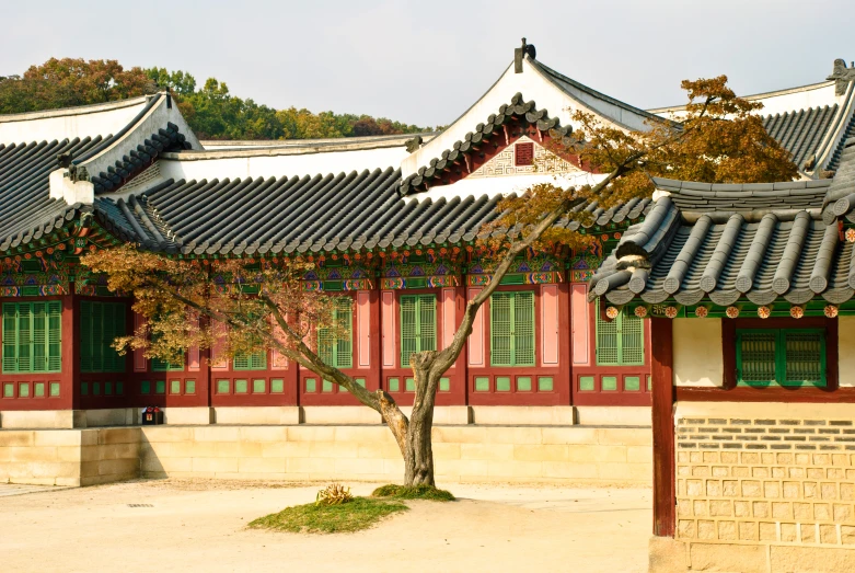 a tree growing in front of an asian style building