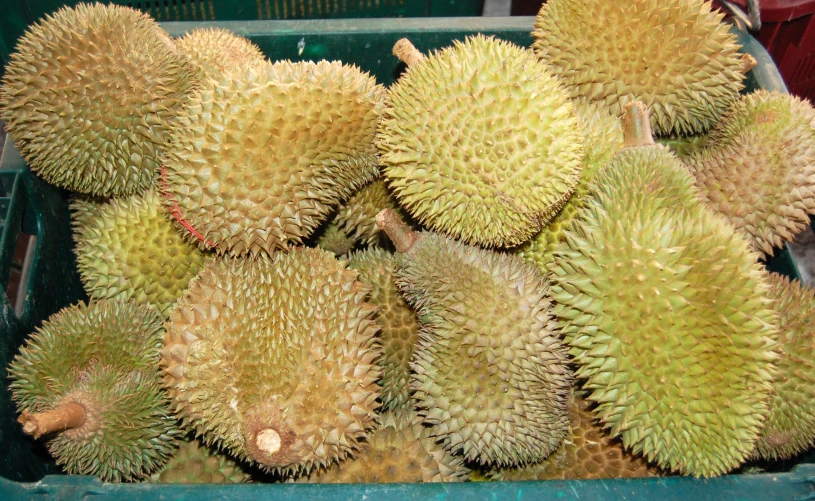 the fruit is freshly picked and displayed in baskets