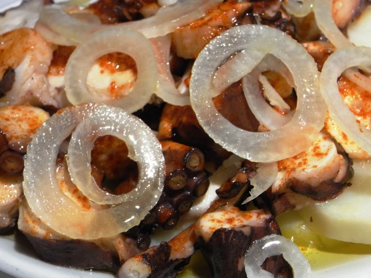 closeup of a plate filled with octo and other food