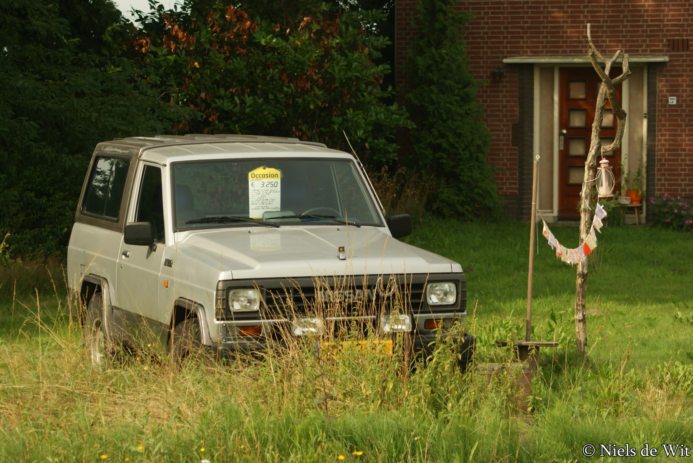 an older jeep parked on the grass near a small tree