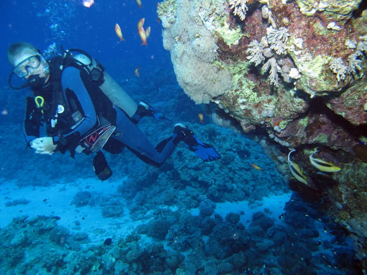 man diving over a coral reef surrounded by fish
