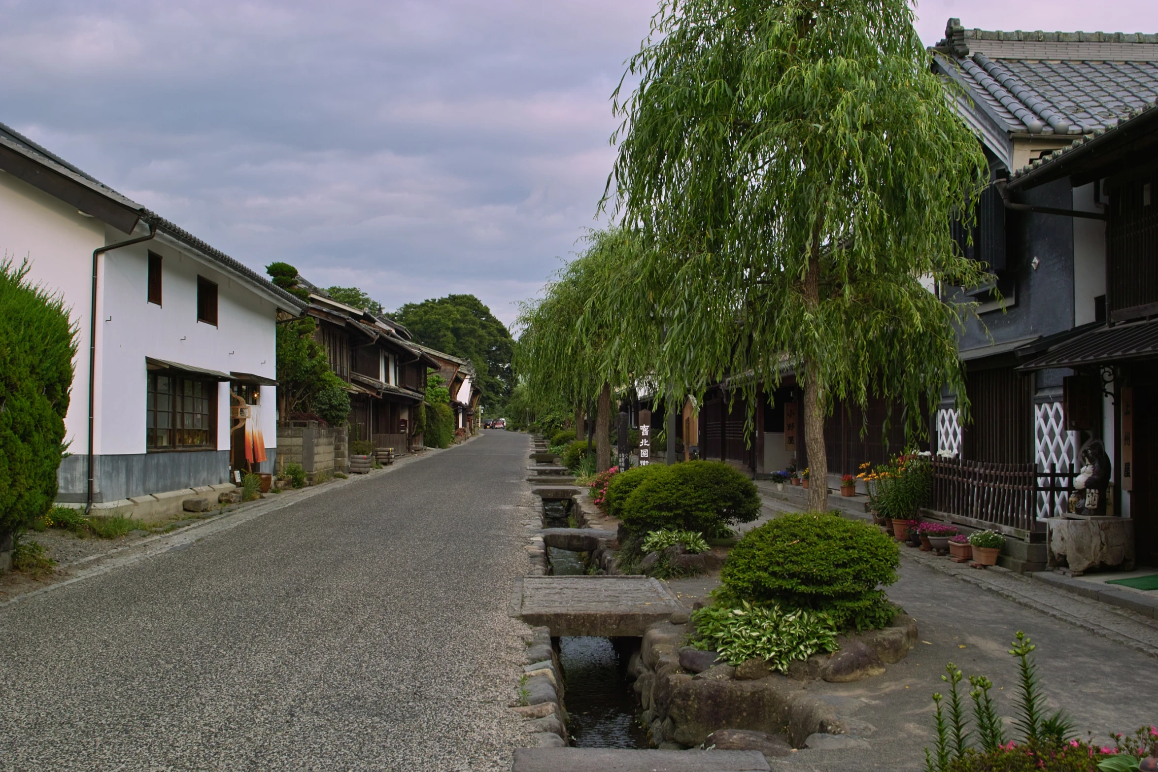 an empty street lined with many houses and trees