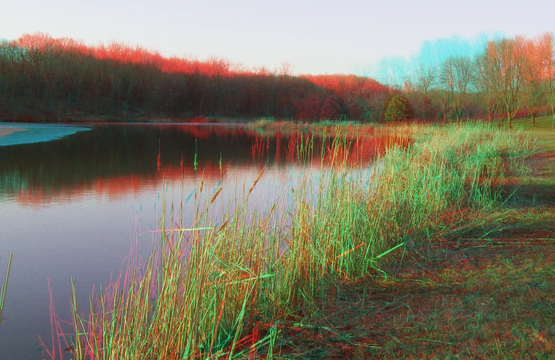 a pond filled with lots of water surrounded by trees