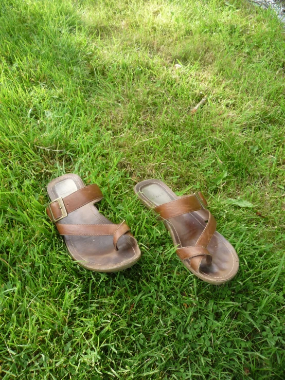 two sandals are sitting in the grass