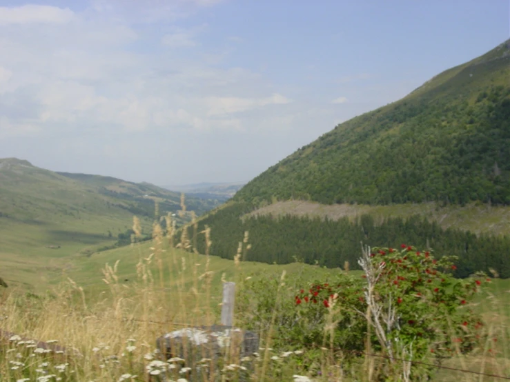 a picture of an outdoor place with mountains in the background