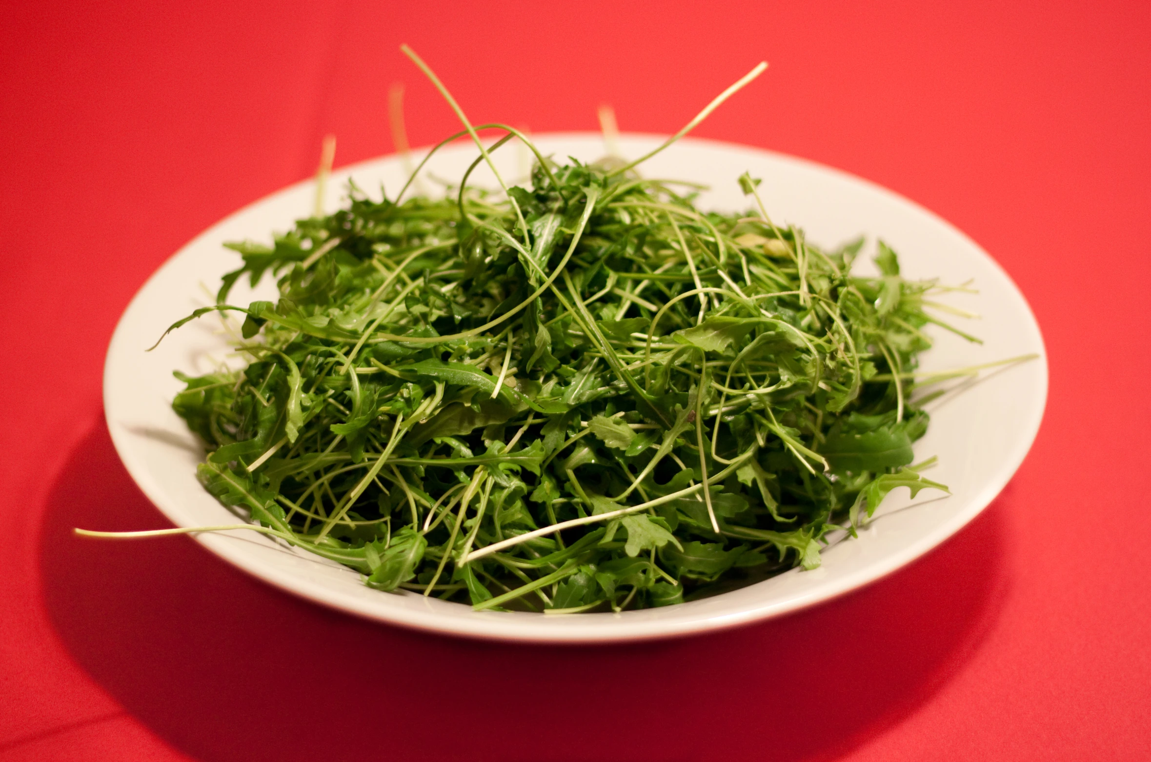 a white bowl filled with green sprouts