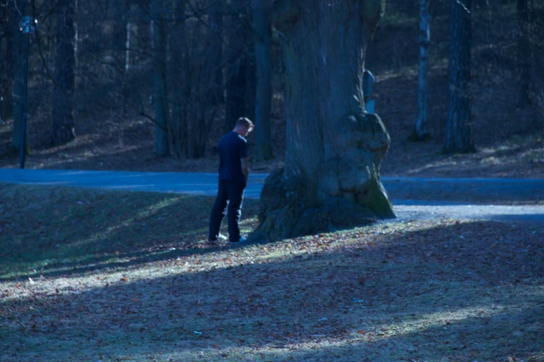 man walking towards a tree in a wooded area