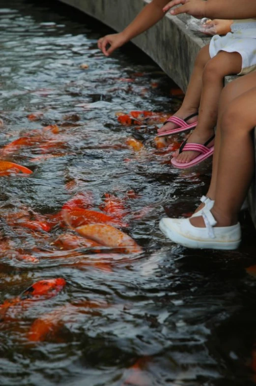 some very pretty shoes near some water with orange fish