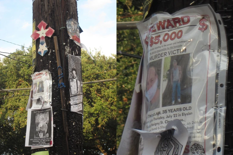 posters on a telephone pole with the word reward $ 1 00 each