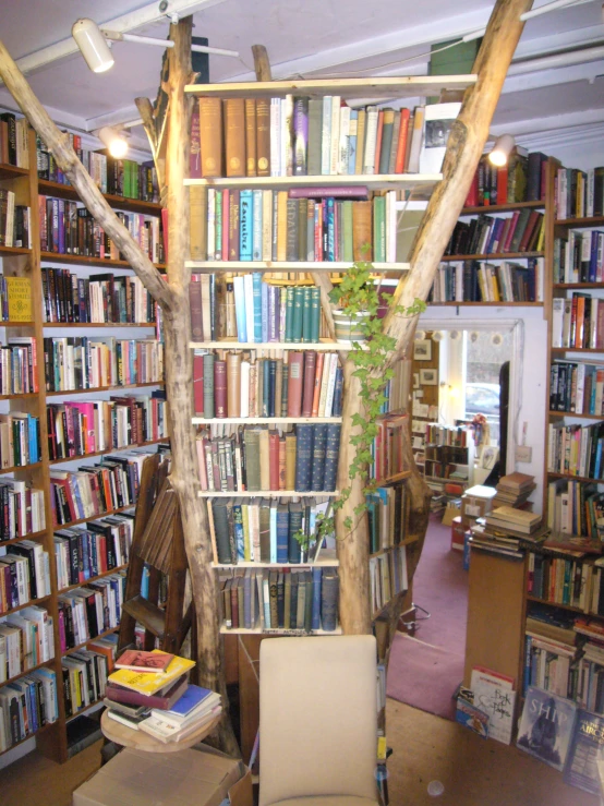 a living room with a ladder made out of nches