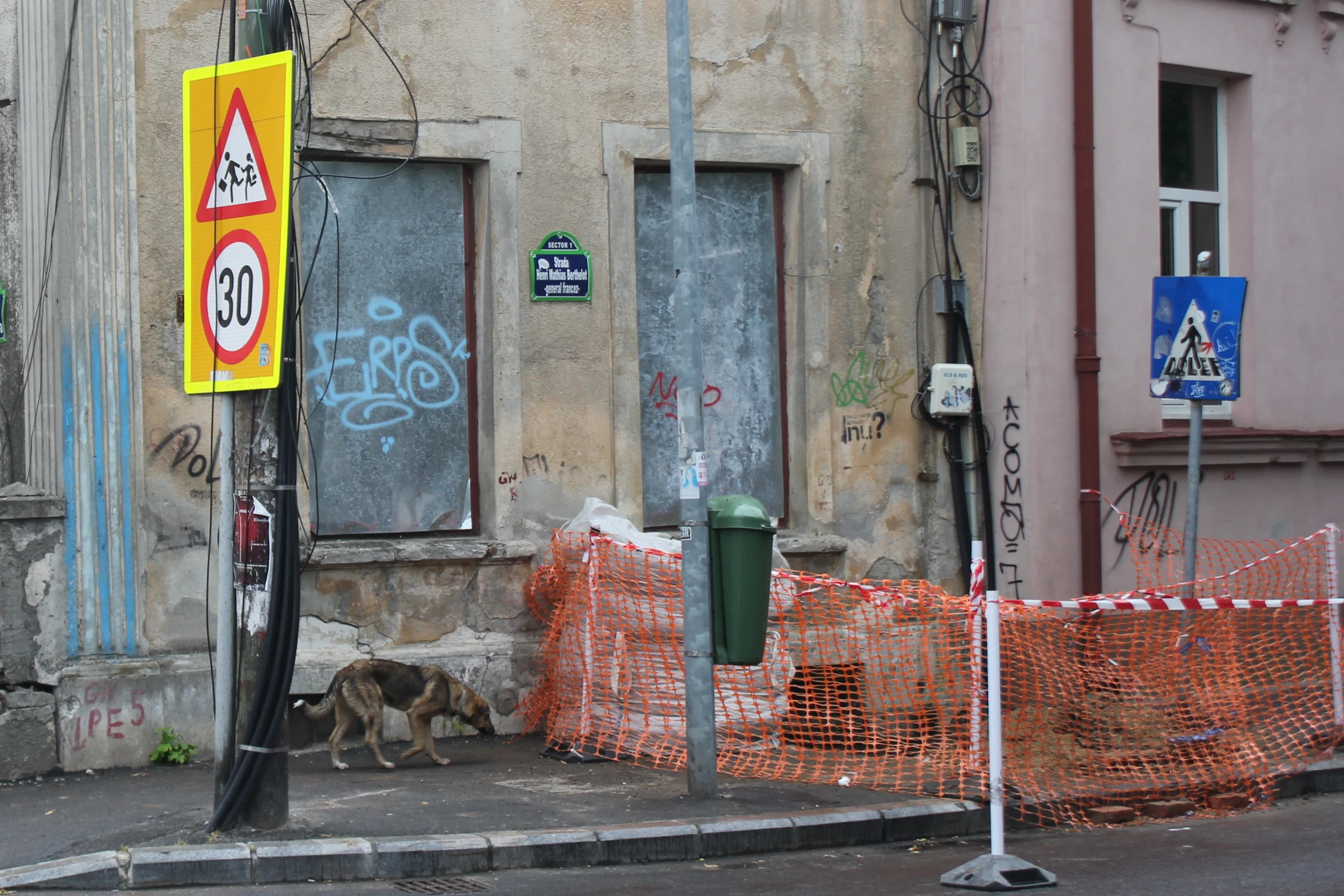 a large yellow sign is posted by a street with a dog