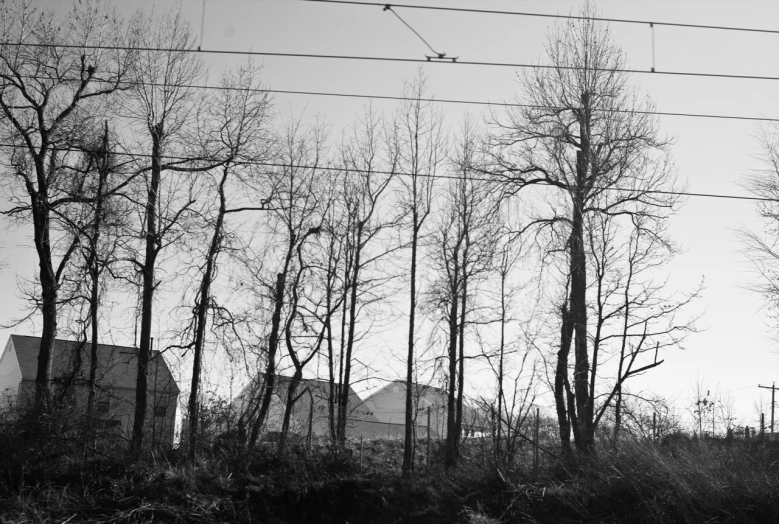 power lines in a winter park are pictured