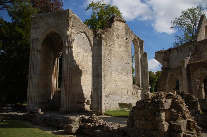 stone ruins and other ruins near a tree