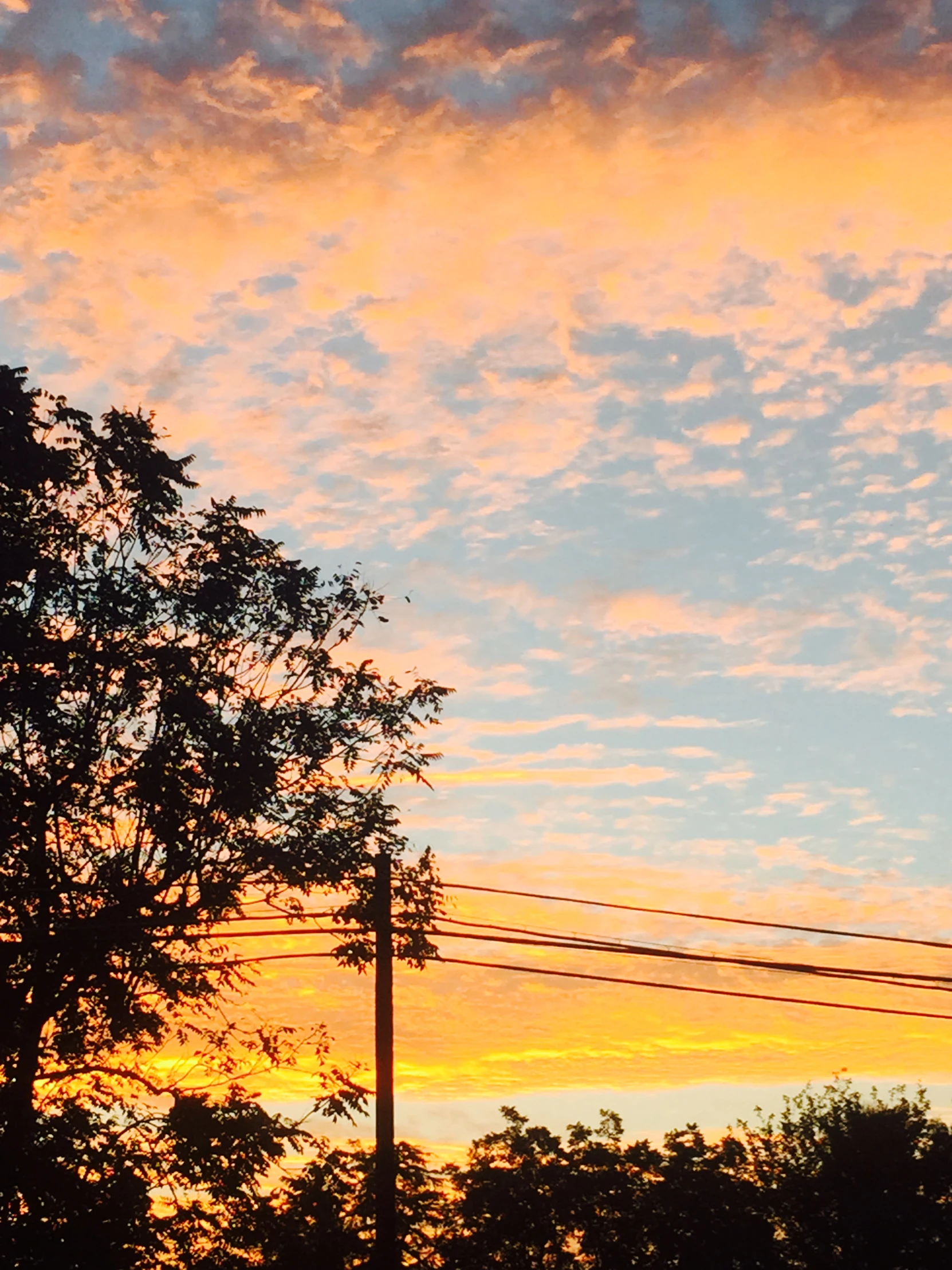 a street sign with a telephone pole below it and power lines and telephone poles near by