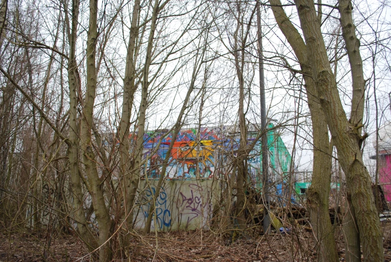 a graffiti covered building behind a tree line