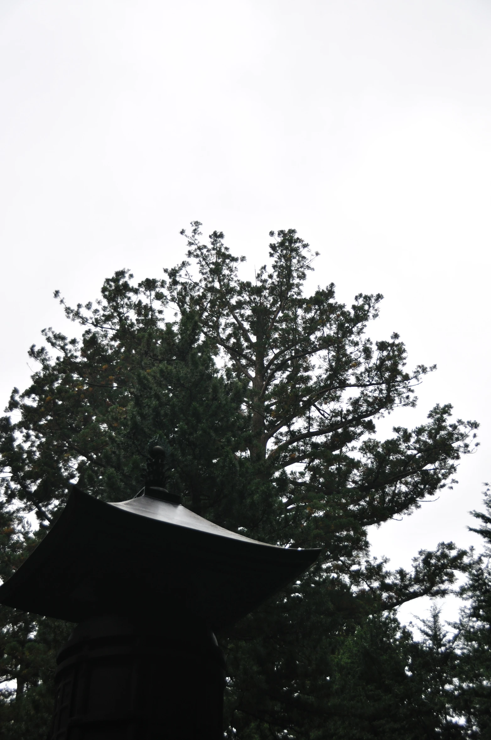 trees against a cloudy grey sky with a small statue in the foreground