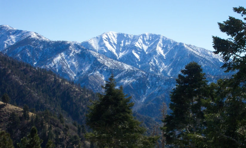 some trees and snow capped mountains in the background