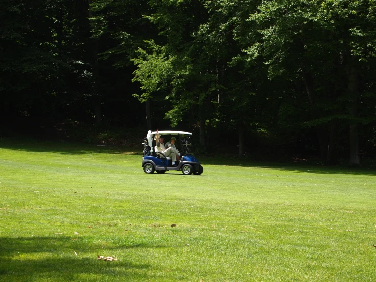 a person on a golf cart near trees