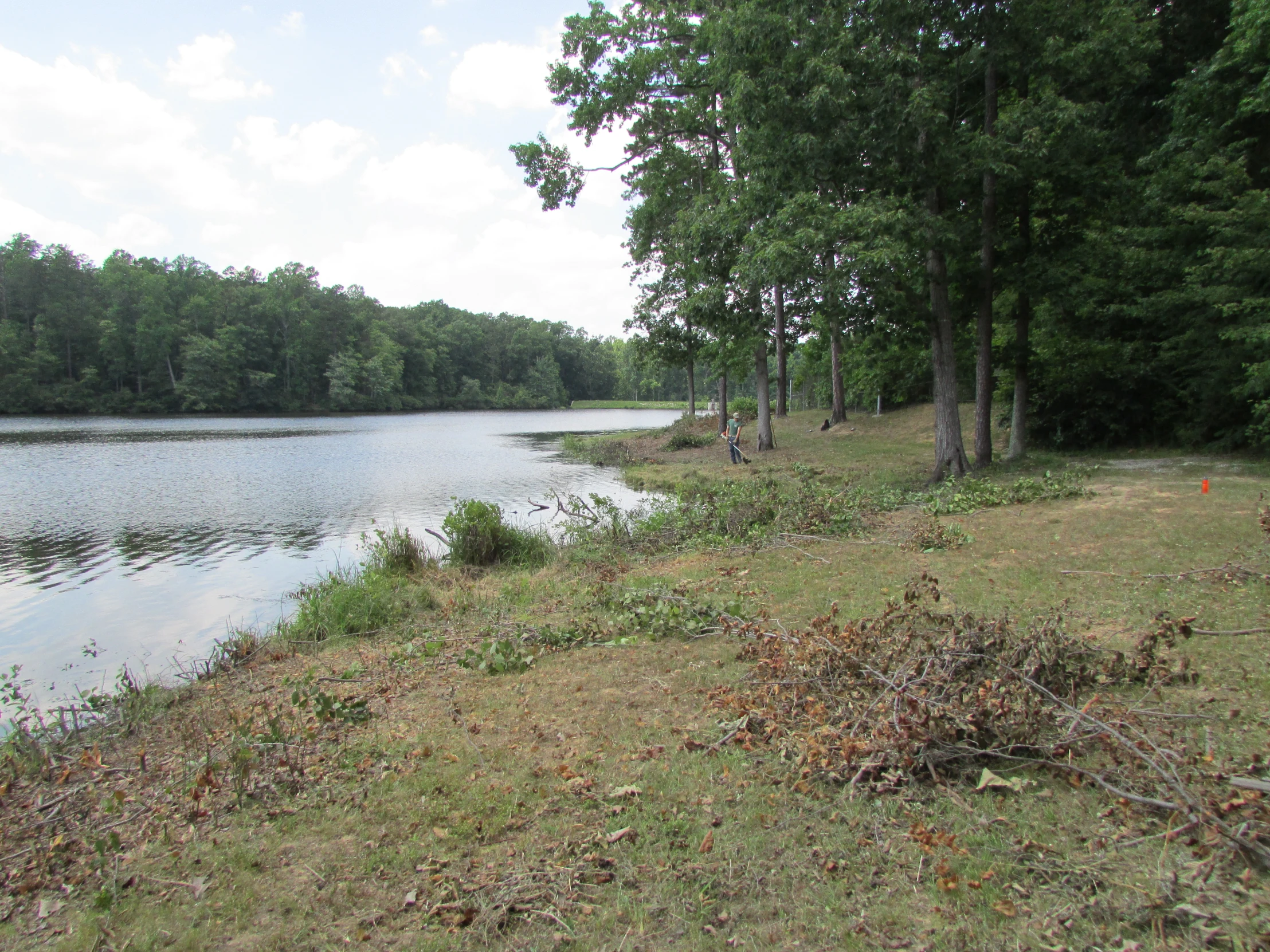 a body of water surrounded by trees and grass