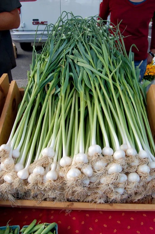 bunches of onion and other vegetables sitting on a table at a market