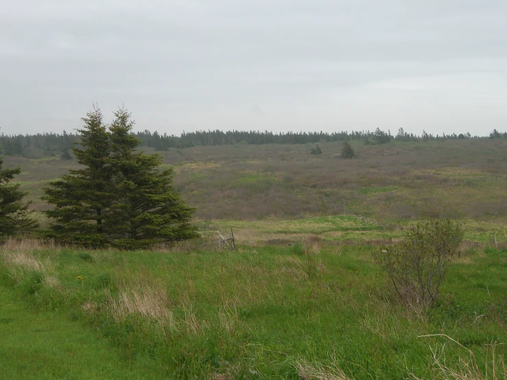 a view of a field that looks to be very empty