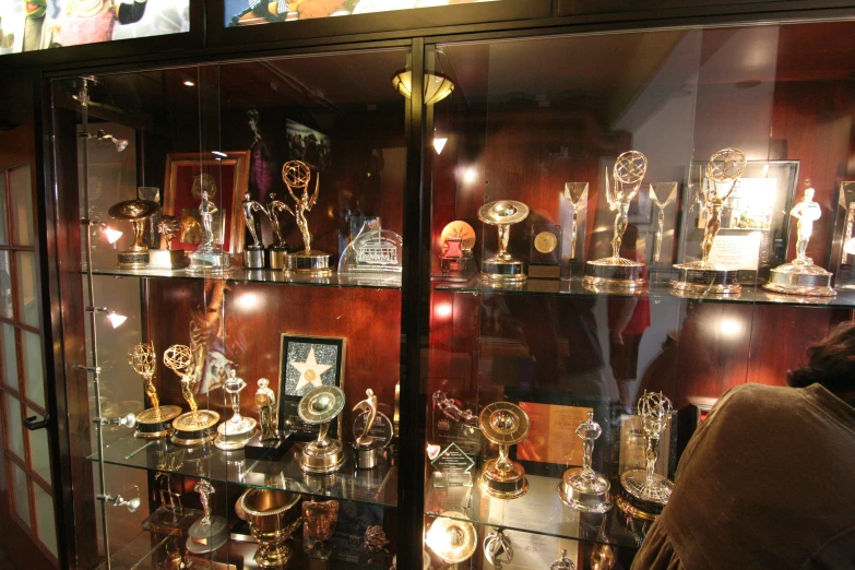 a glass display case with many different trophy trophies on the front