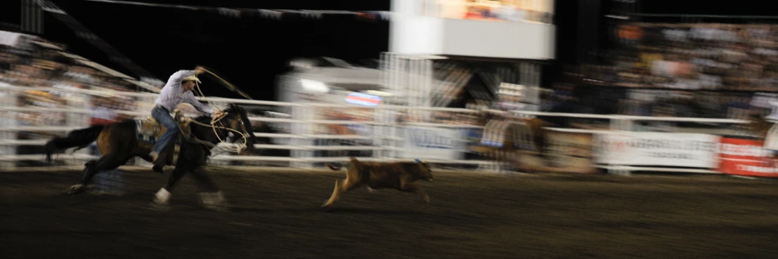 a man riding on the back of a brown horse