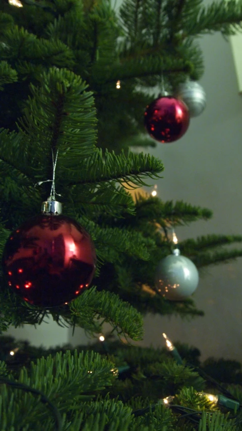 a bunch of christmas ornament on the nches of a tree