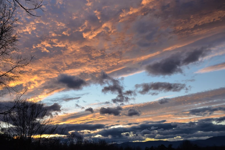 a sunset view of a group of trees on a field