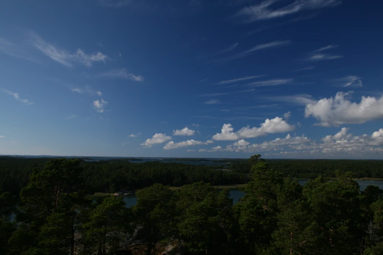 an overhead view of trees with clouds in the sky