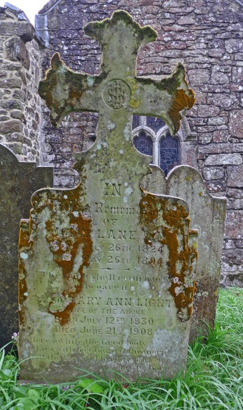 a cemetery with moss growing around it