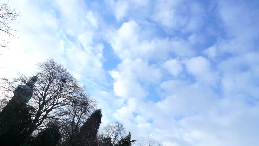 a plane flying over a field with trees in the foreground