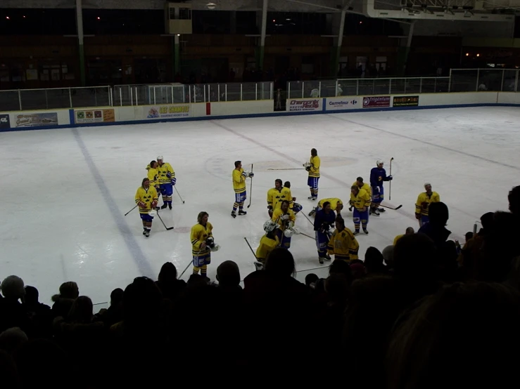 the hockey team is wearing yellow jerseys