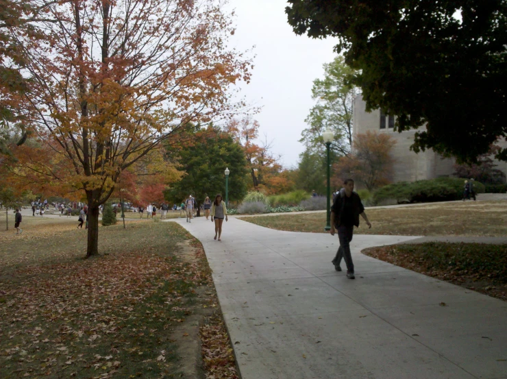 a person walking down a path near trees and grass