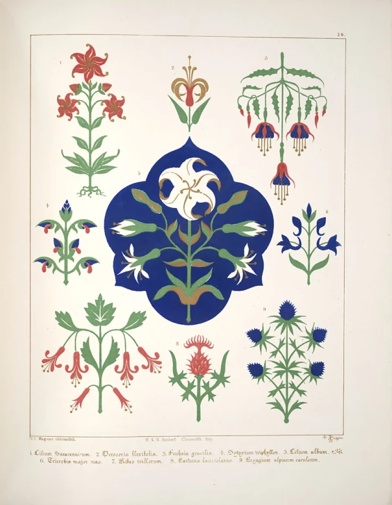 an illustration of colorful flowers and plants arranged