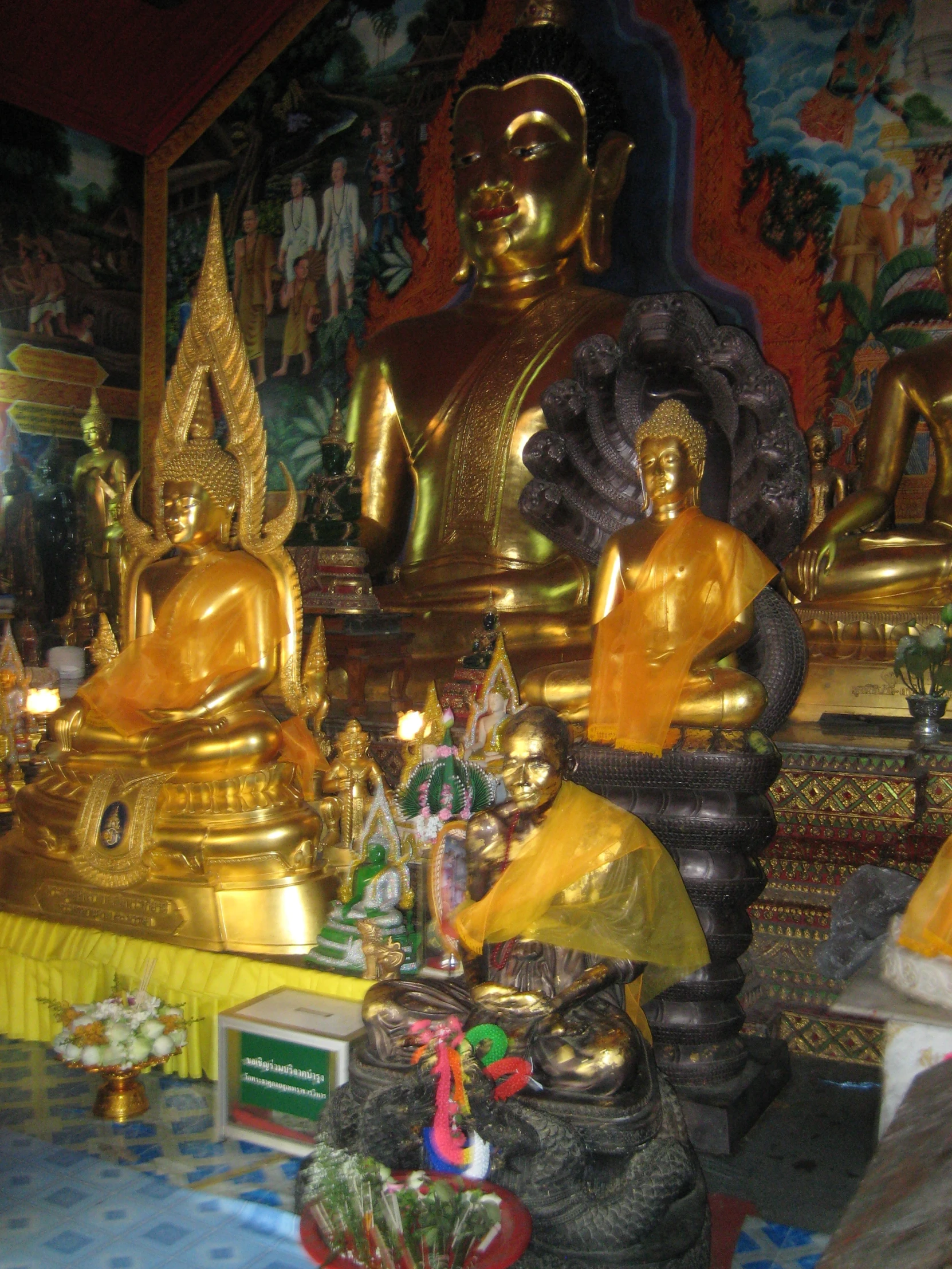 many buddha statues displayed in a small room