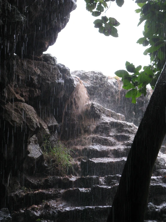 a very pretty rain scene with trees and rocks
