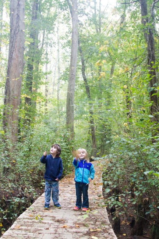 two children standing on a walkway in the woods