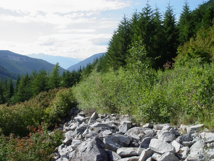 a rocky area of a wooded area with mountains in the background