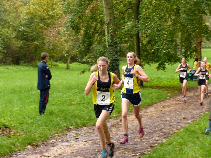 runners in cross country race running through field