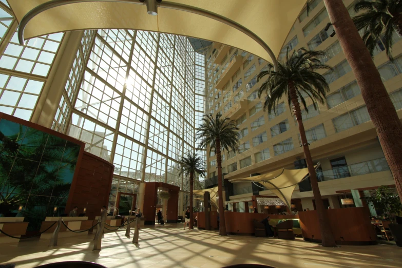 the lobby of a modern el surrounded by tall palm trees