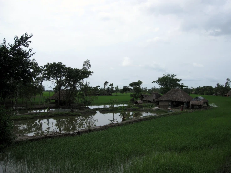 a body of water with some grass on the side